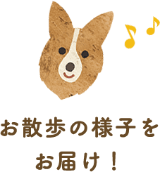 お散歩の様子をお届け！