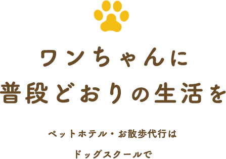 ワンちゃんに普段通りの生活を ペットホテル・お散歩代行はドッグスクールで